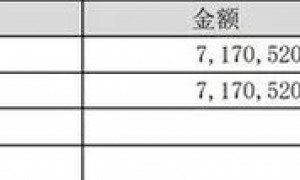 牛市踏空？大成基金徐彦的“慢建仓”谜团