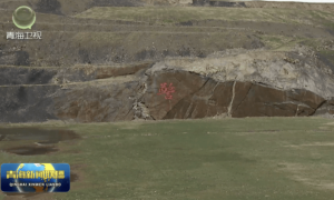 涉及赔偿金额50.56亿！官方披露青海木里矿区非法采矿案最新进展