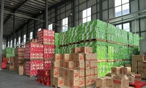 董明珠们的最大靠山，倒在了2025