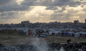 哈马斯放弃反抗，停火要来了？特朗普兴高采烈，却忘了中国的提醒