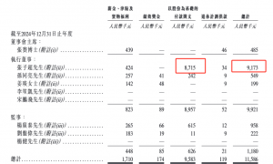 翼菲智能港股IPO：2024年售后服务费翻了3倍 最大客户收入暴跌 80后董事张子超全年领薪超900万元