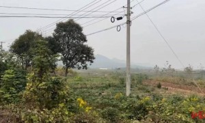 校长和教练合谋投毒致130人中毒7人死亡，已被执行死刑